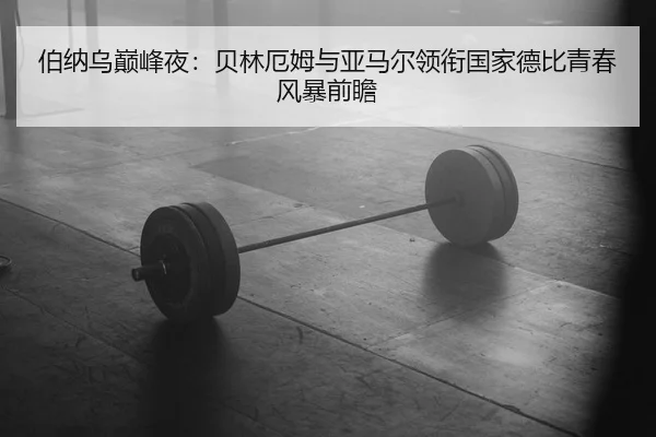 bo-na-wu-dian-feng-ye-bei-lin-e-mu-yu-ya-ma-er-ling-xian-guo-jia-de-bi-qing-chun-feng-bao-qian-zhan-2-334.jpg